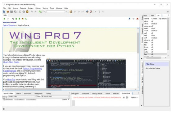 wing-pro-724-full-cracked-keygen-free-download-latest-png